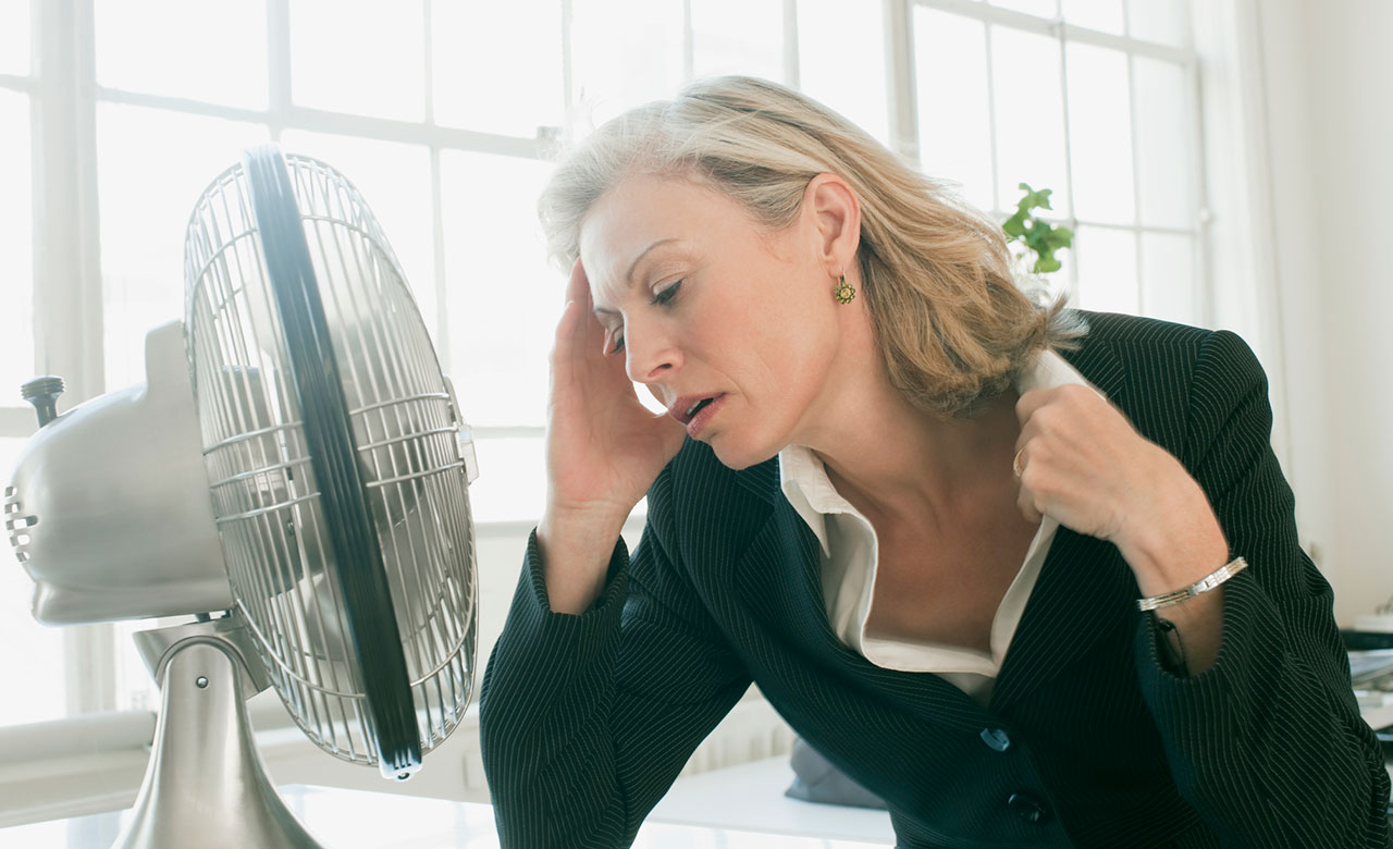 Image of a woman in front of a fan