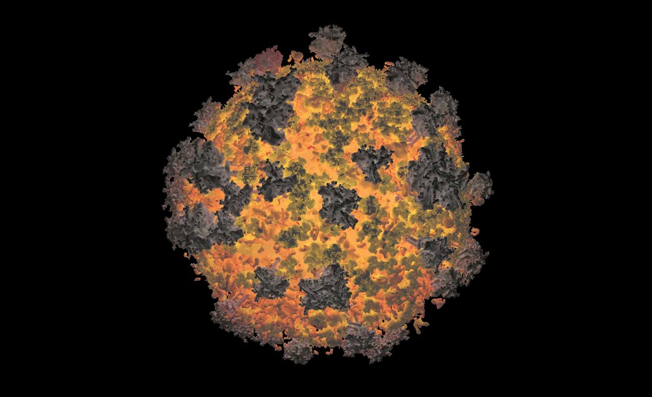 Molecular model of a Human Immunodeficiency Virus Type 1 (HIV-1).