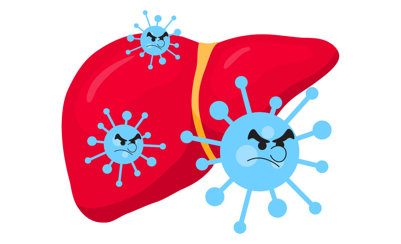 Illustration of three bright blue hepatitis C viruses against a liver. The hepatitis C viruses have angry eyebrows and are frowning.