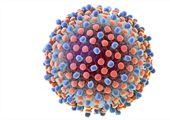 National infectious disease organizations update guidance on hepatitis C