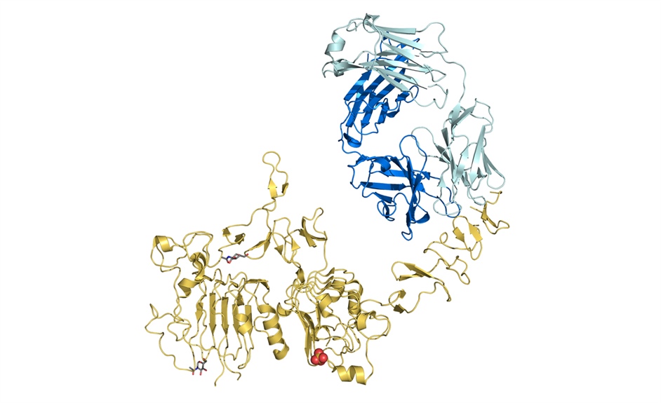 Why are biosimilars not cost effective despite biosimilar competition?