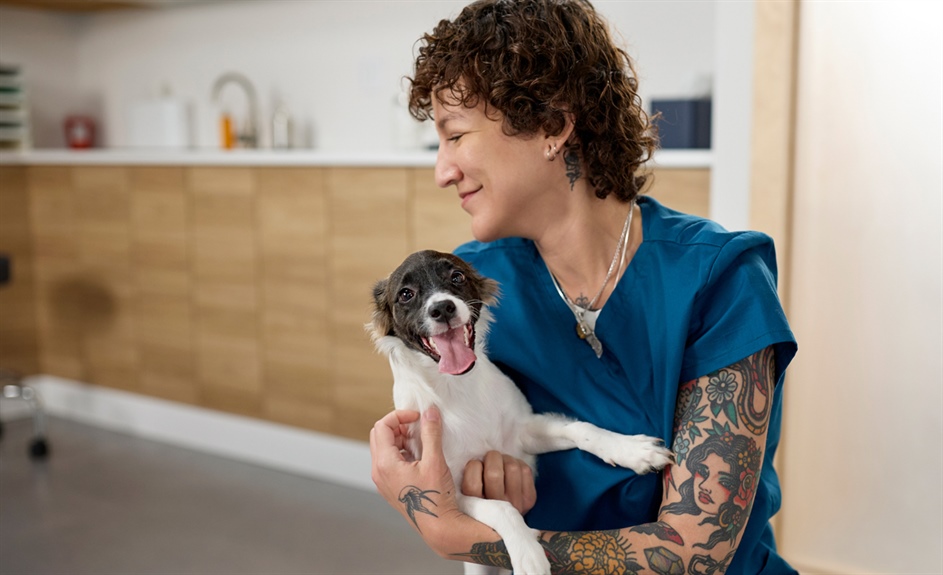 The growth of pet pharmacy: helping America's four-legged family members