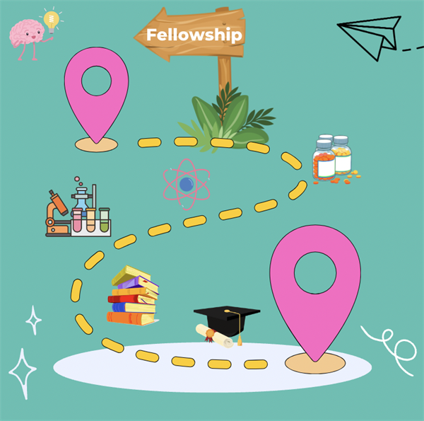 Fellowship 101: Navigating the path to your program