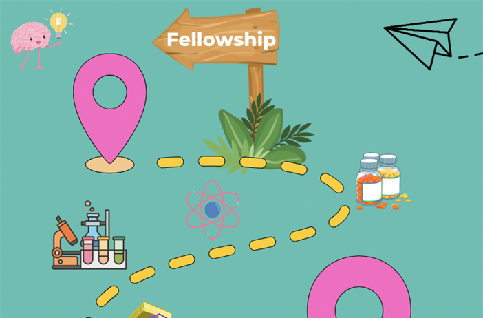 Fellowship 101: Navigating the path to your program