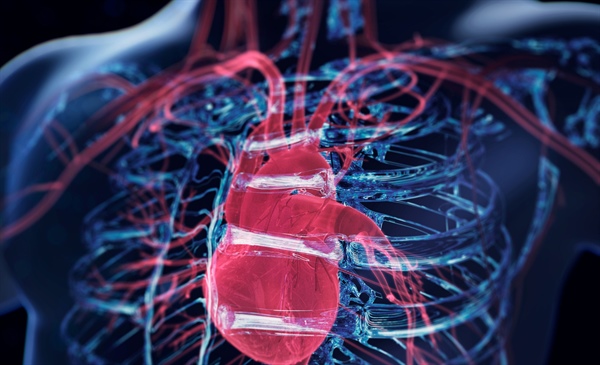 The role of finerenone in heart failure with mildly reduced or preserved ejection fraction