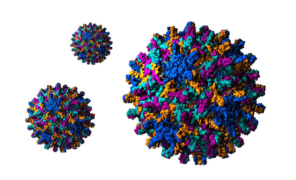 Pharmacy considerations for hepatitis B screening and vaccination